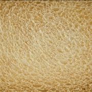 Picture - Toast Bread Texture